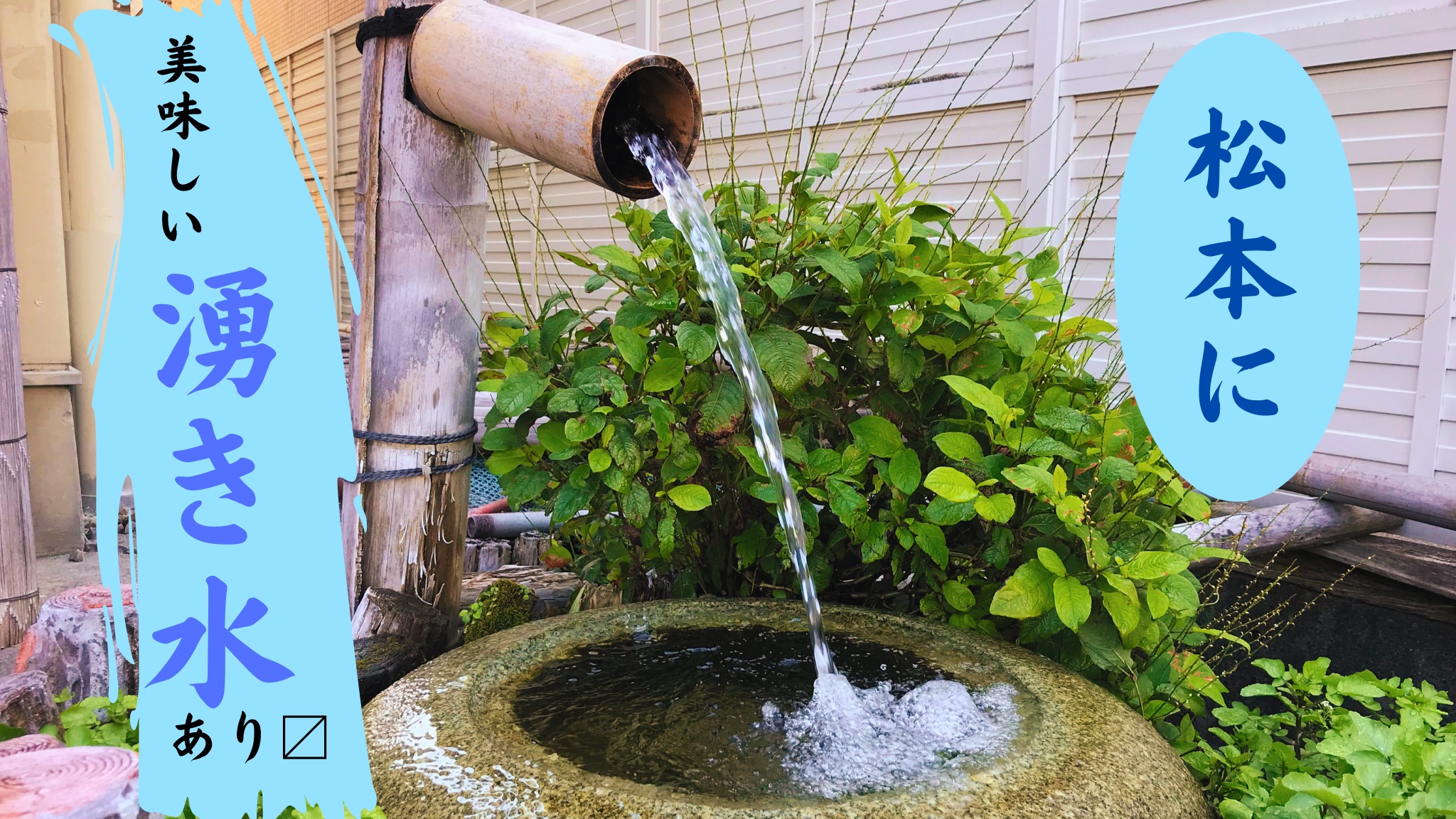 【信大周辺散歩】松本市の湧き水5か所巡ってみた！
