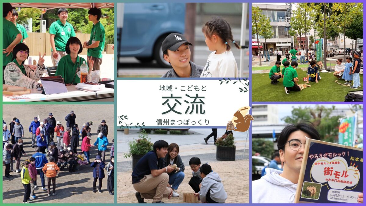 信州モルックまつぼっくり