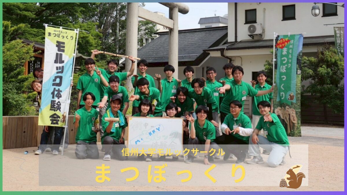 信州モルックまつぼっくり