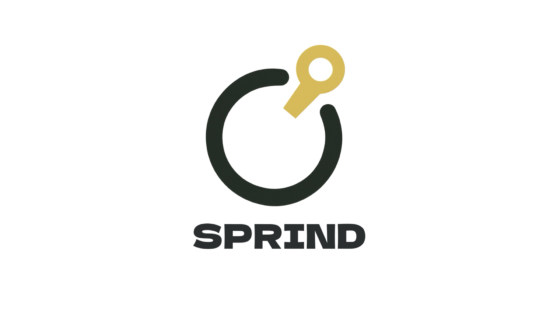 学生団体SPRIND