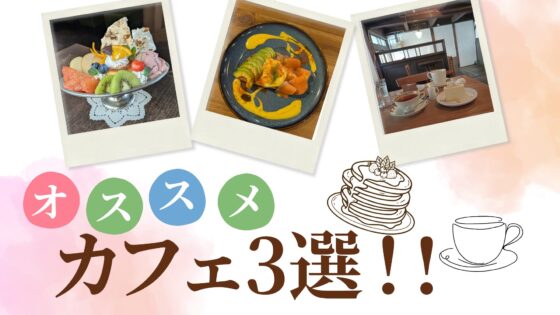 1年生ライターが行く！松本のオススメカフェ3選！