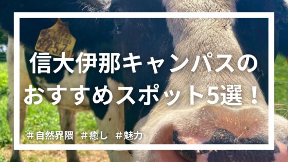 【一度は行くべき⁉】信大伊那キャンパスのおすすめスポット5選！