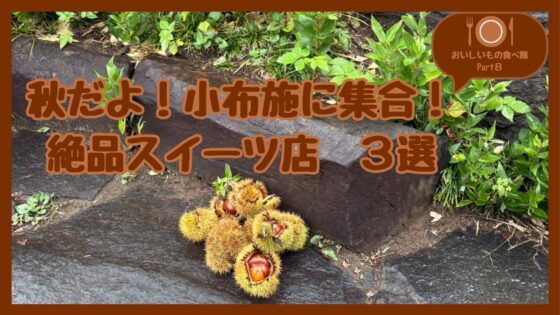 【おいしいもの食べ隊Part8】栗の季節になりました！ 今年も秋は小布施へGO！