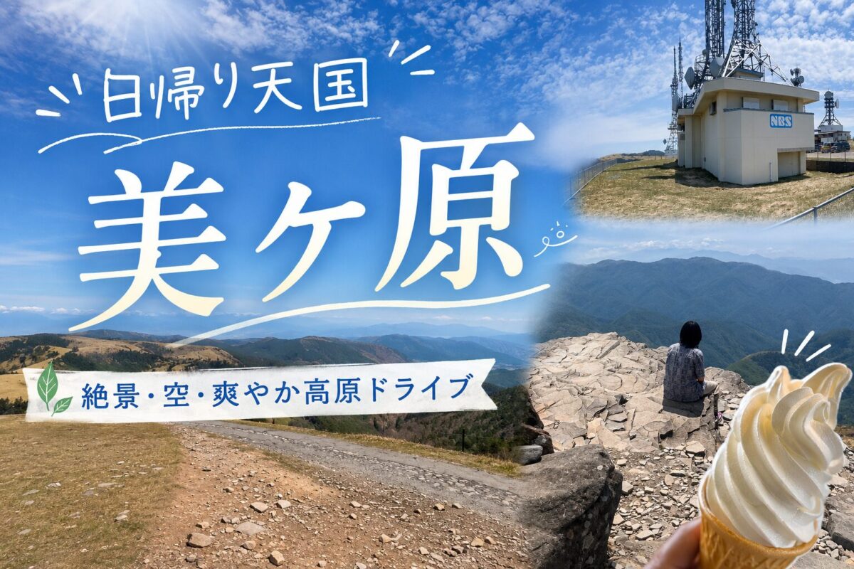 日帰りで楽しむ！！ 手軽に楽しめる長野県最高の絶景スポット、美ヶ原高原！！